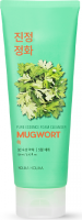 Успокаивающая пенка для лица с полынью Pure Essence Mugwort Foam Cleanser