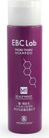 Увлажняющий шампунь для сухой кожи головы EBC Lab Scalp Moist More than Shampoo