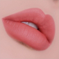 Вельветовый тинт для губ Velvet Blanket Tint 01 Cream Rosy превью 1
